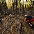 쵸이이모네 이미지