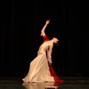 제31회 대구무용제 이미지