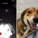 길종합동물병원 이미지