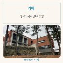 제주카페 할리스 제주연북로DI점 분위기좋고 넓은 대형카페 애견동반카페 대관가능카페
