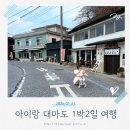 1층천호약국 | 아기랑 대마도 히타카츠 숙소 티엔티 부산 니나호 배편 임산부 후기