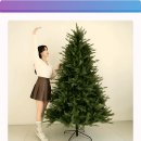 5점 만점 리뷰 폭발! 77% 파격 할인, 애드망 크리스마스 트리 솔트리 1.8m 놓치면 후회!