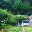 오봉사지부도 이미지