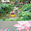 연꽃화원