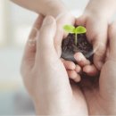 반포대로 217 (4) 이미지