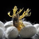 김영칠농장 이미지