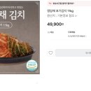 정담채 이미지