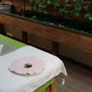 웅진피부명가 이미지