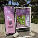 동산숲협동조합 | SK석유화학 벚꽃동산 인천 벚꽃 명소 주차 꿀팁