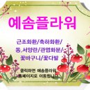 예솜플라워