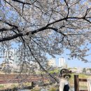 상법저수지 이미지