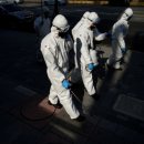 삼호궁전사우나 이미지