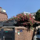 방실슈퍼 이미지