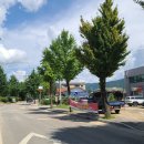 해안면 청소년문화의집 이미지