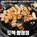 도적 | 홍대 고기집 삼겹살 구워주는 도적 합정점 후기 주차 가능 단체모임 회식