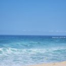 또 하나의 세상 메타버스-이프랜드 | [강릉 한 달 살기] 강릉서핑 포이푸에서의 기록: 파도와 인연, 그리고 잊지 못할 성장의 시간