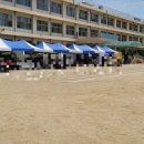 죽향초교 병설유치원 이미지