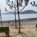 소나무식당 이미지