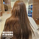 아코하롬헤어양주 이미지