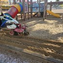 왜관초교(병설) 이미지