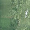 명암낚시터 이미지