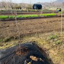 해돈농장 이미지