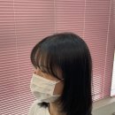 헤어뷰티 | [평택] 용죽 미용실 뷰티홀헤어_레이어드컷 후기