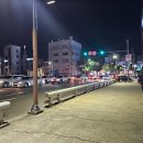 안락교 티스토리