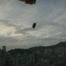 매밍 이미지
