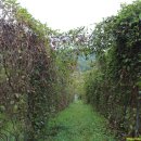 산태골 농장 이미지