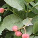 사철회관 이미지