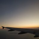 돼지수산 이미지