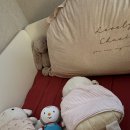 육아맘의 12월 쇼핑목록 리스트(육아용품 당근 키워드알림)
