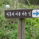 추자 처사각 이미지