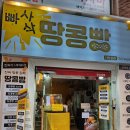 마산남부시외버스터미널 | [경남/창원] 마산남부시외버스터미널 주전부리 '빠사삭 땅콩빵' (feat. 땅콩이 들이부어진 가성비 끝판왕)