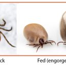 부산동물약국 이미지