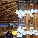 행운장 | 경주 신상카페 노경보차라파 방문 후기