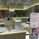 패밀리 중식푸드 이미지