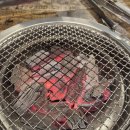 이안숯불갈매기 이미지