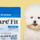케어핏