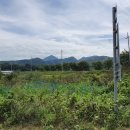 (주)예인프린팅 | 열네 번째 일기 (할머니댁 풍경 자랑 + 화이자 2차 접종 완료)