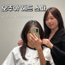 창신대학교 미용예술대학원 | 창동헤어샵 쥬얼창동 아린디자이너 오주아 헤드 스파 후기