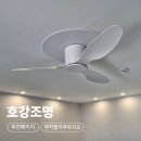 (주)노블건설 | 대구 벤처밸리푸르지오 조명 시공｜도배 없이 실링팬 설치 현장 후기
