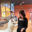 테이블에이 이미지