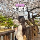 진달래공원 | 대구 벚꽃 명소 달성공원 실시간 만개 포토존 위치