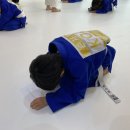 유도아카데미 이미지