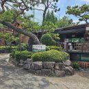 아사다라 이미지