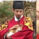 신기 이미지