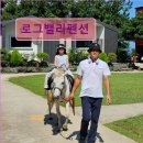 로그밸리 | 제주도 애월 펜션 숙소 게하 로그밸리펜션 아이들과 함께 즐기기 좋은