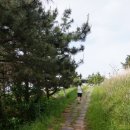 별마을 태양광발전소 이미지